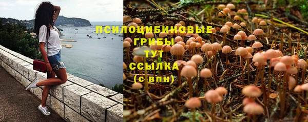 стаф Балахна