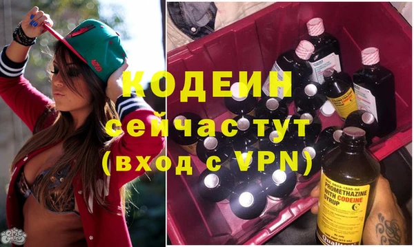 стаф Балахна