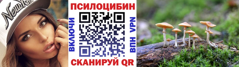Галлюциногенные грибы Cubensis  сколько стоит  Высоковск 